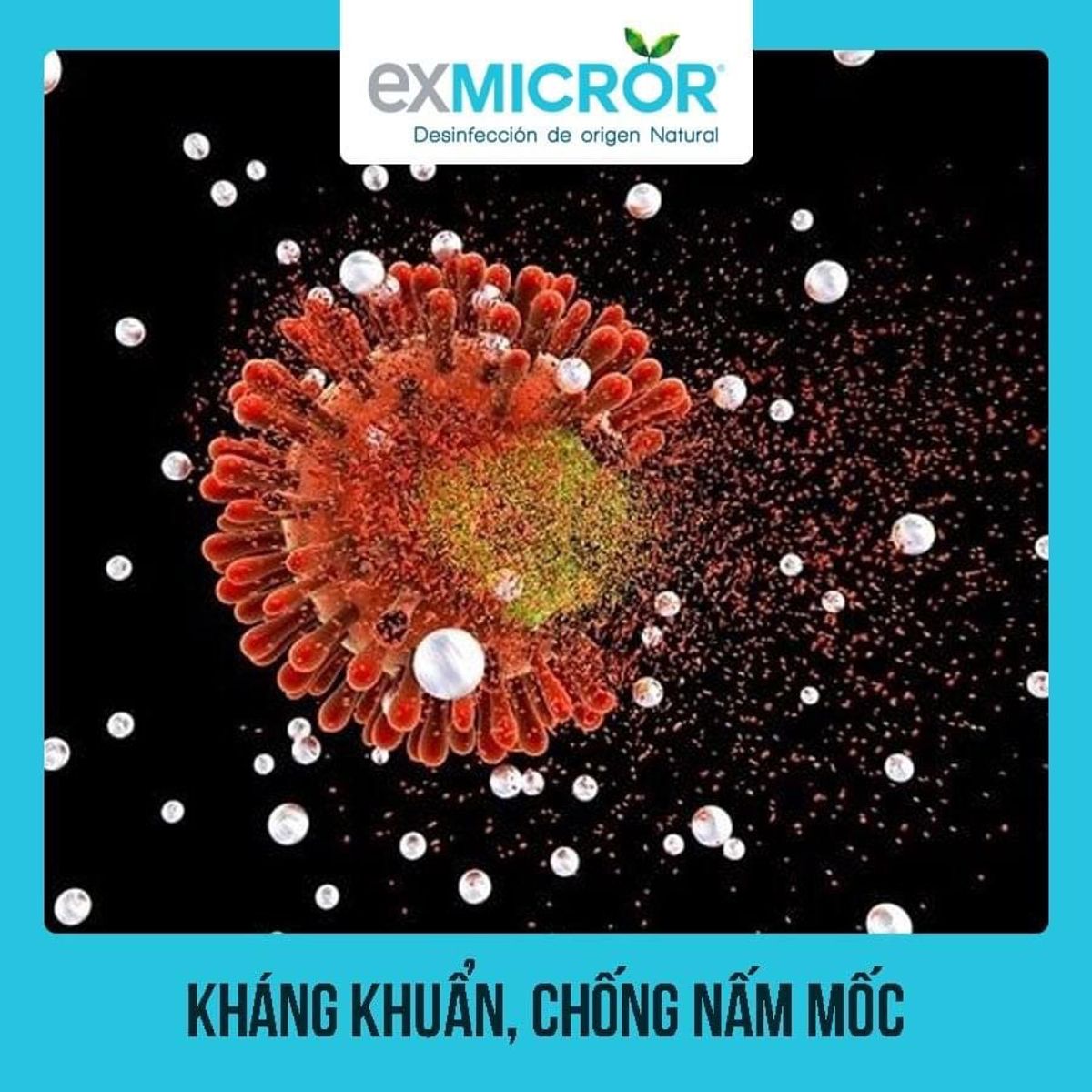 Dùng Exmicror Plus để khử trùng quần áo