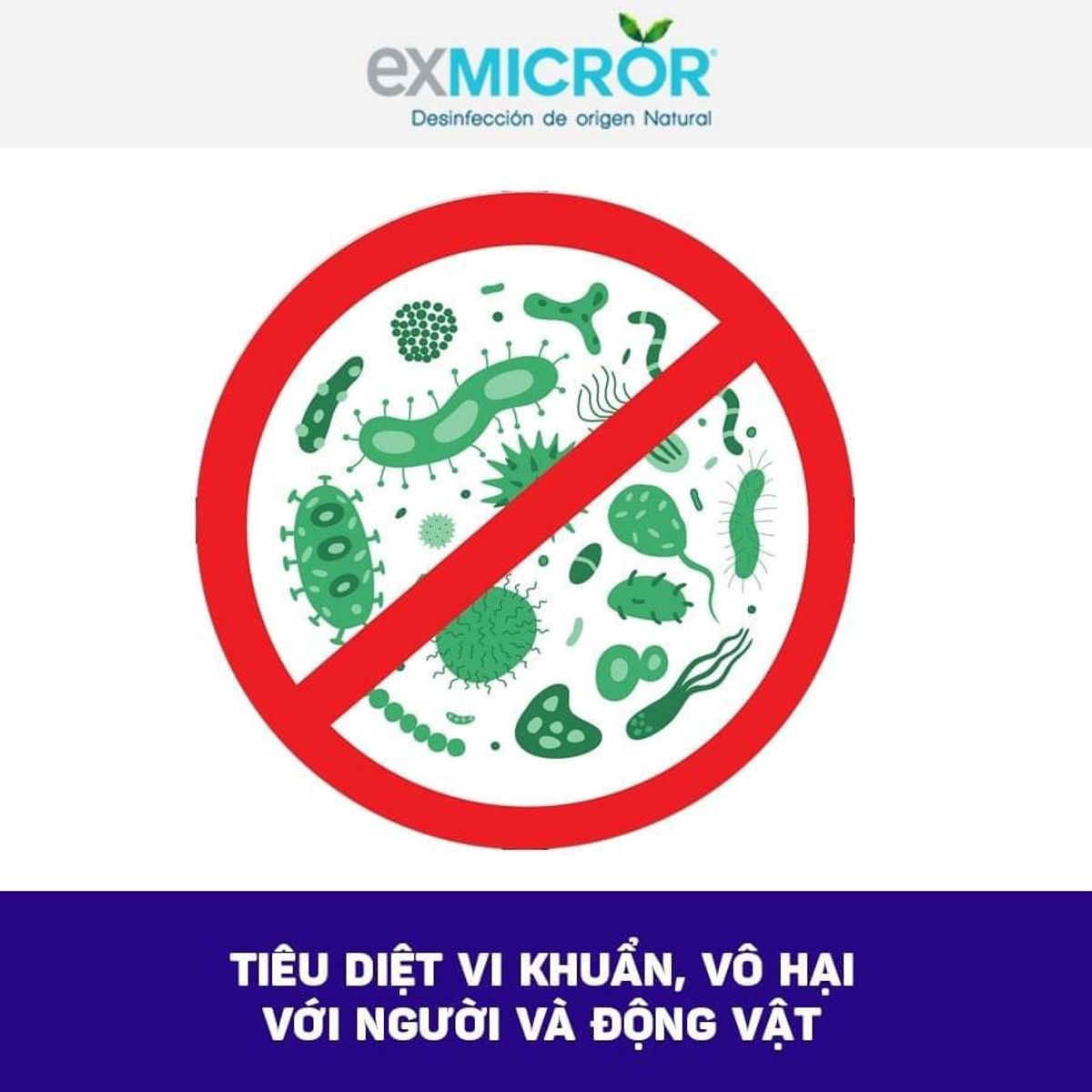 Sát khuẩn tay bằng Exmicror Plus